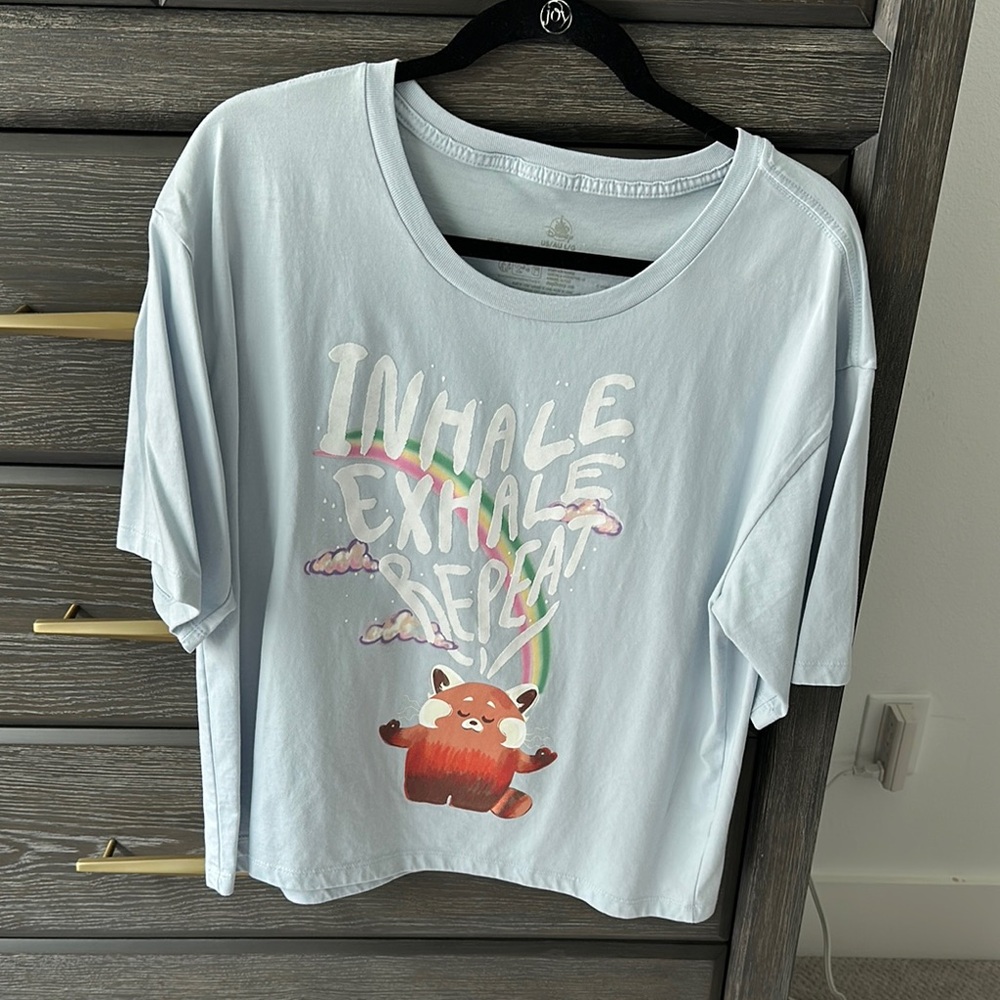Disney Light Blue T-Shirt Red panda